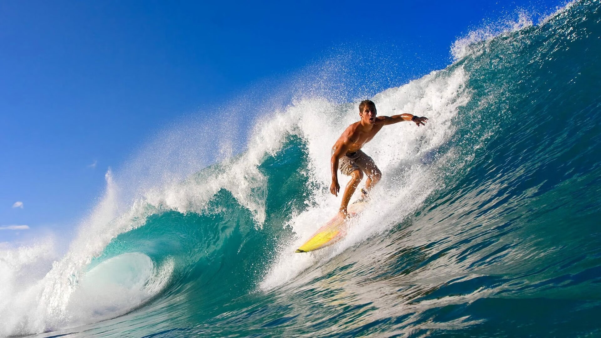 爱游戏在线服务-“南非羚羊队的坚固堡垒：埃尔斯·霍斯特的卓越表现”